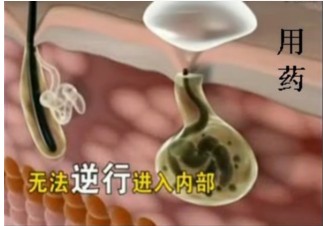 用药.jpg